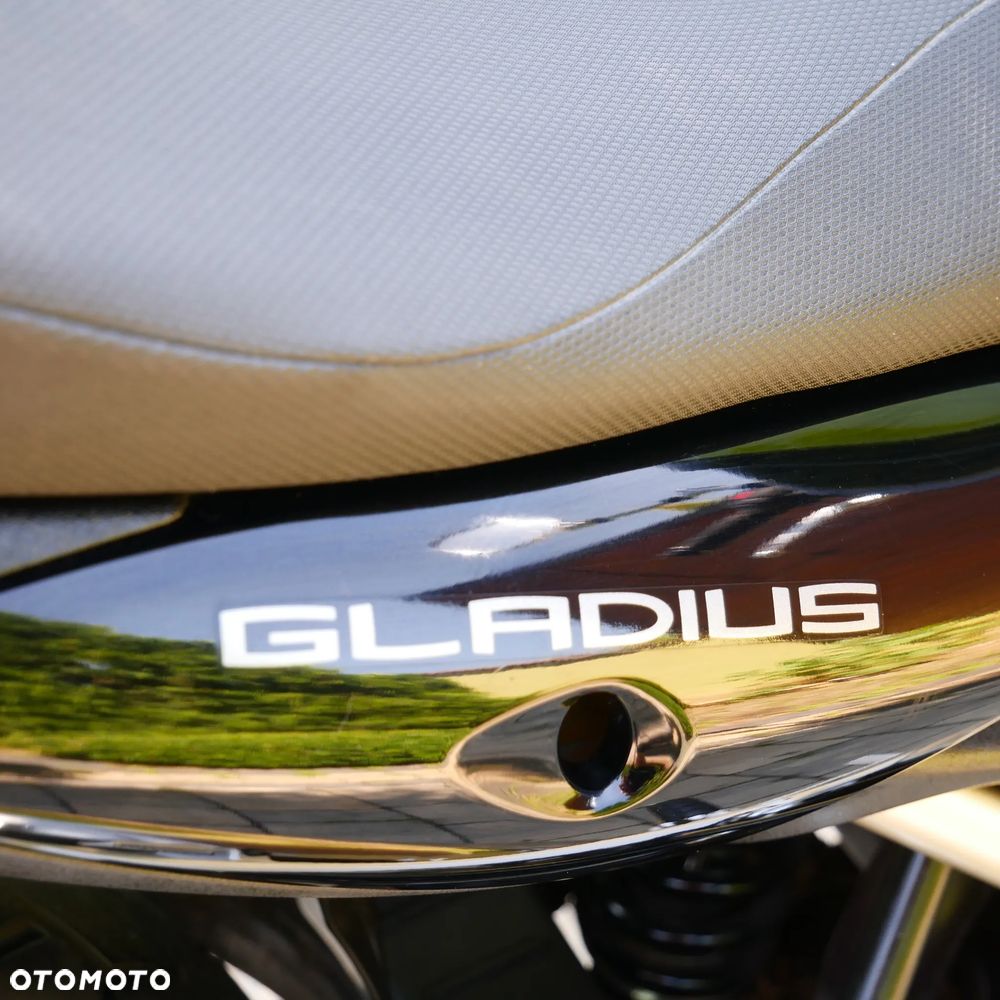 Suzuki Gladius - 21