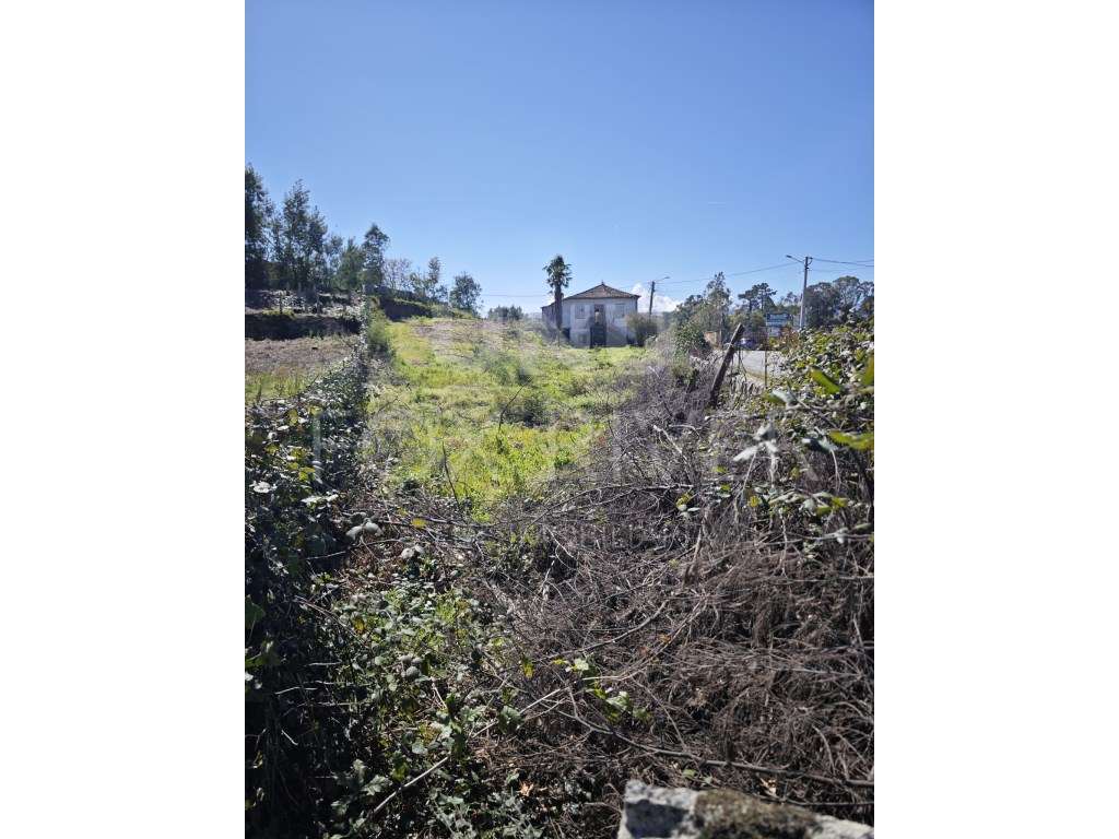 Terreno para Construção em Mazedo, Monção - Grande imagem: 3/10