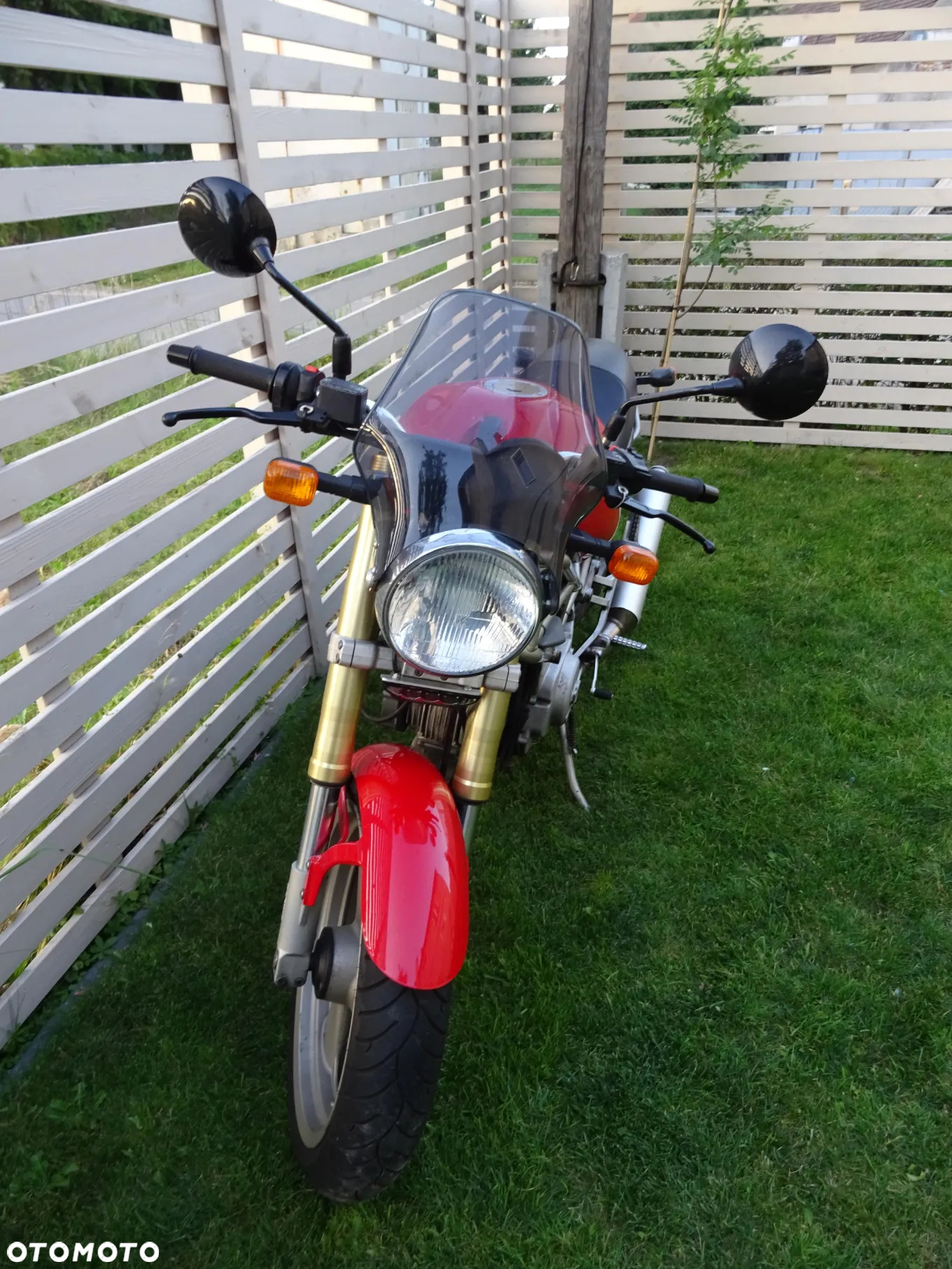 Ducati Monster - 9