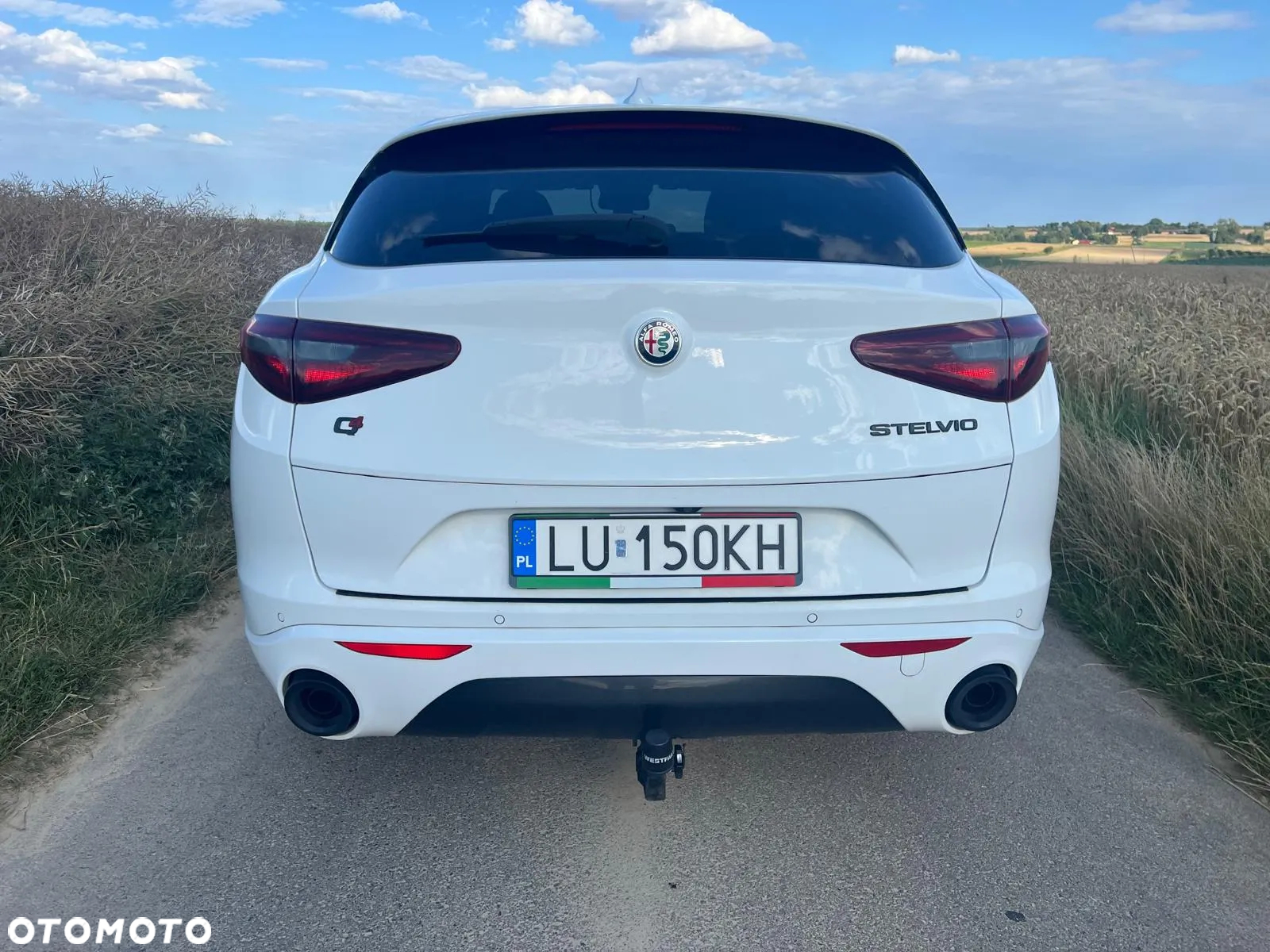 Alfa Romeo Stelvio 2.0 Turbo Veloce Q4 - 6