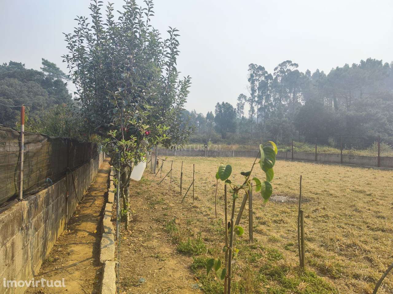 Terreno Rústico em Barqueiros, Barcelos - Grande imagem: 2/26
