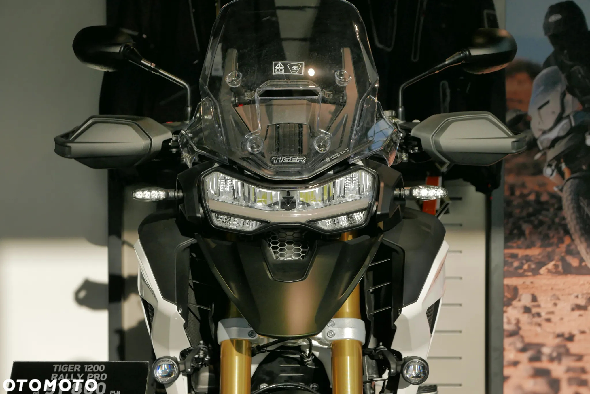 Triumph Tiger - 9
