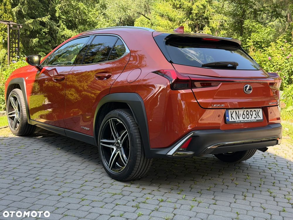 Lexus UX 250h GPF F Sport AWD - 19