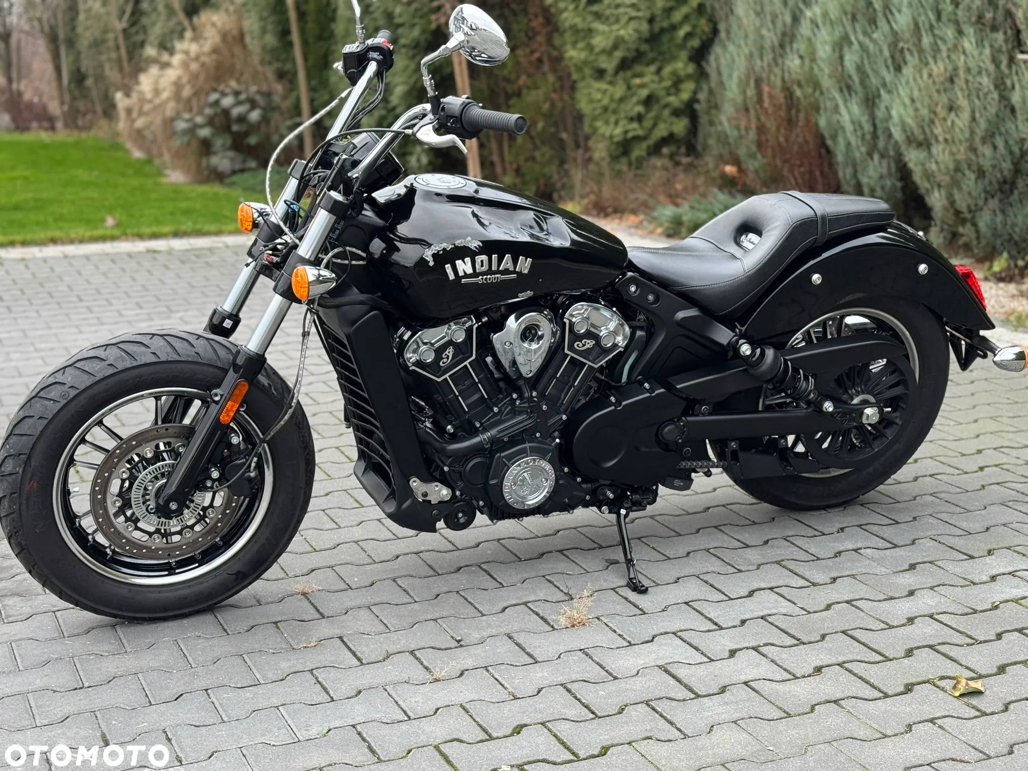 Indian Scout - 7