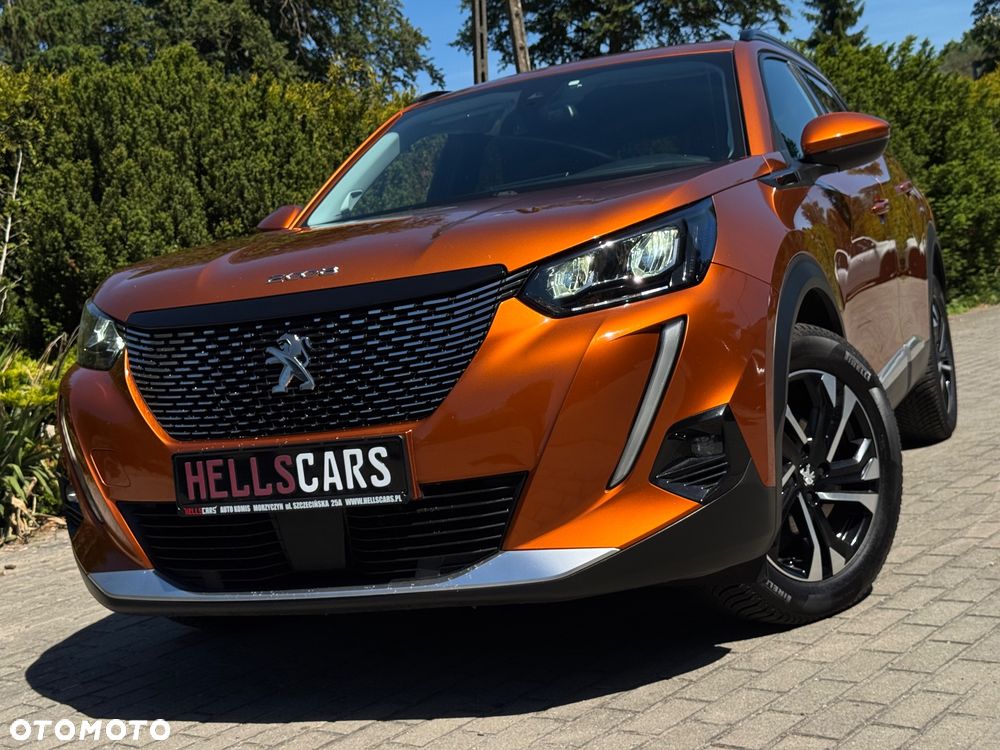 Peugeot 2008 - 18
