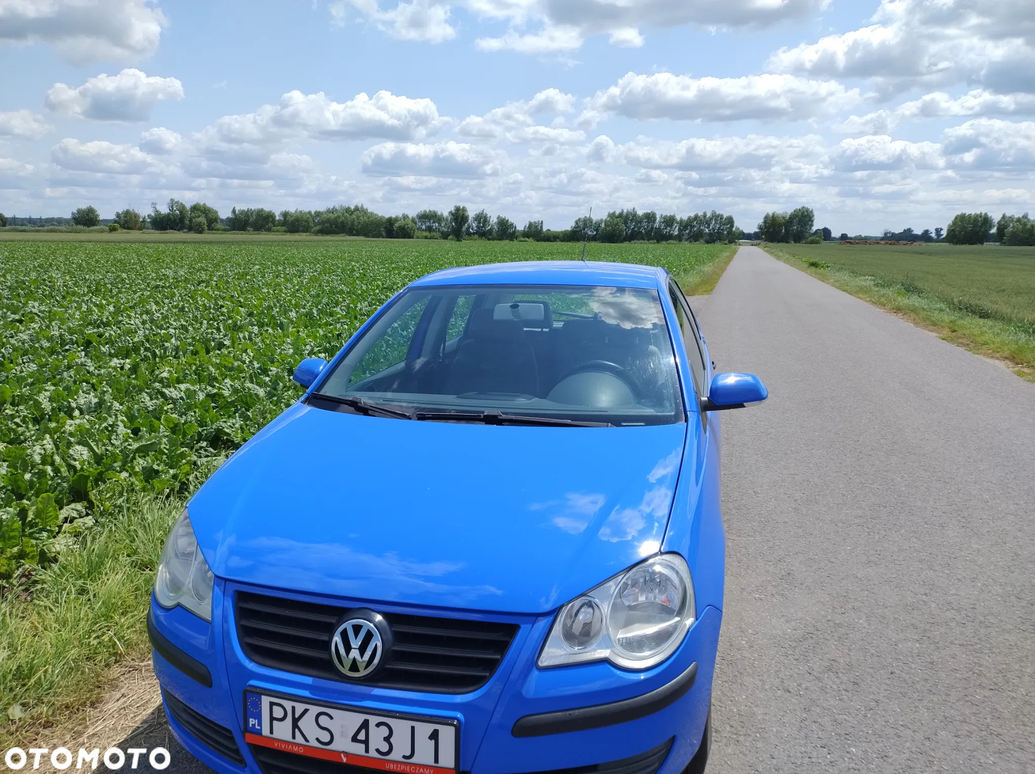 Volkswagen Polo - 12