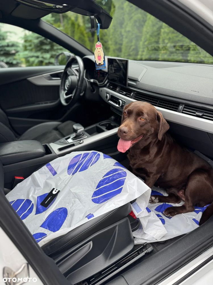 Audi A4 Limousine 40 TFSI S tronic - 16
