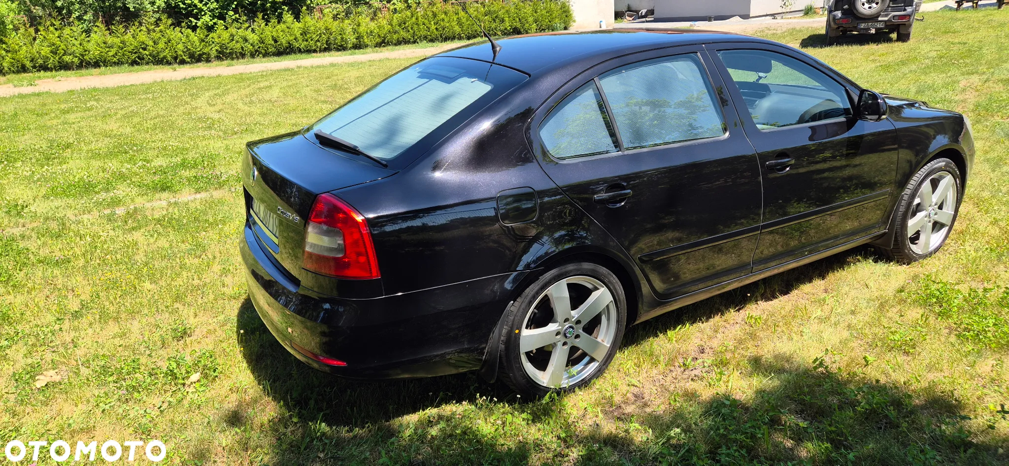 Skoda Octavia 1.6 TDI Ambiente - 3