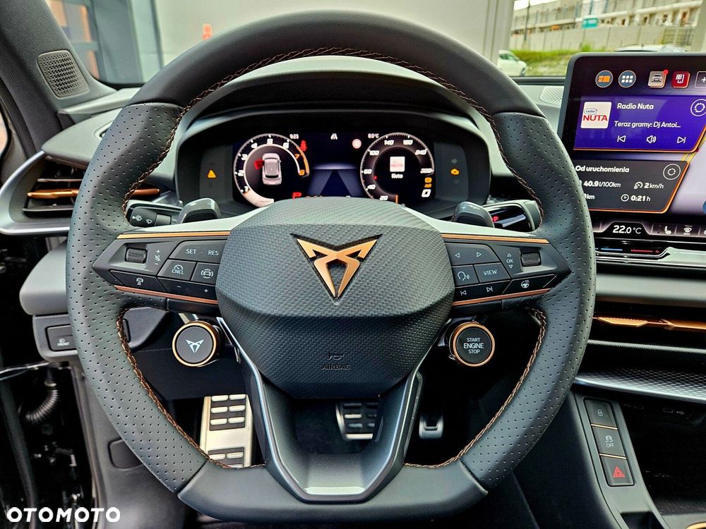 Cupra Terramar 2.0 TSI 4Drive DSG - 18