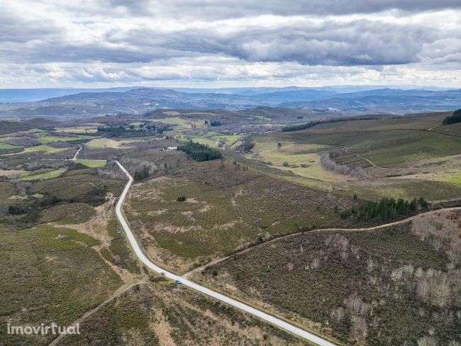 Terreno, 95 000 m², Chã - Grande imagem: 2/3