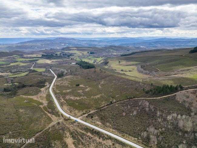 Terreno, 95 000 m², Chã - Grande imagem: 2/3