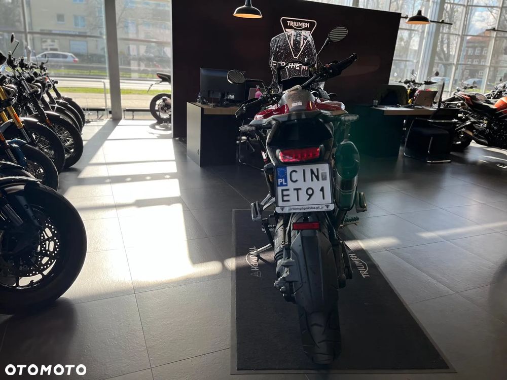 Triumph Tiger - 5