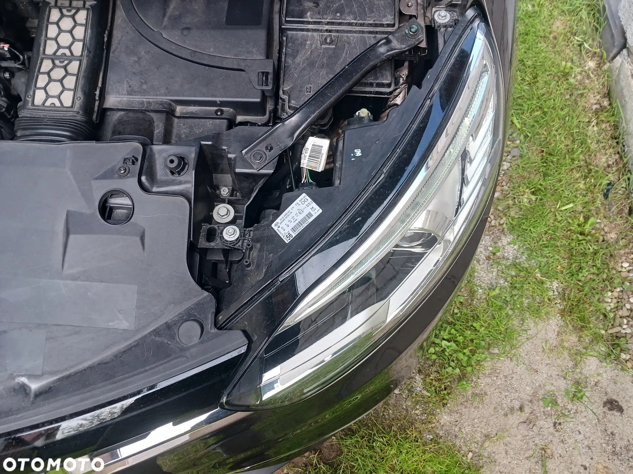 Renault Scenic - 24