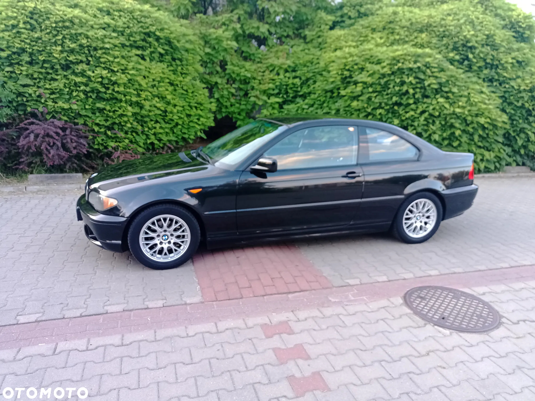 BMW Seria 3 - 28