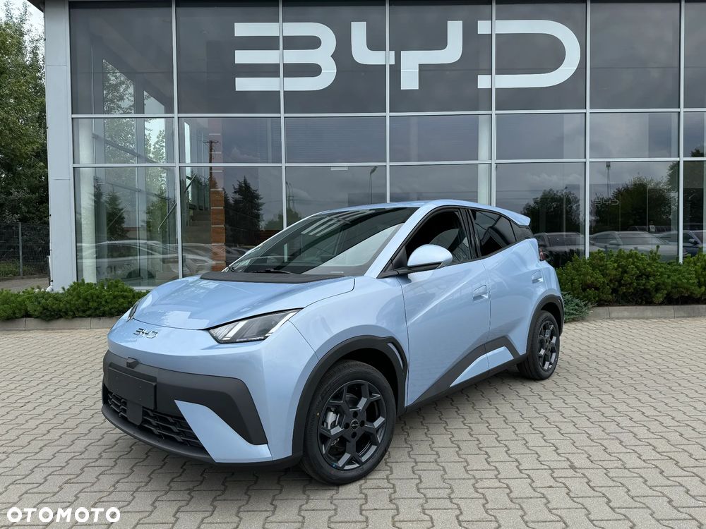 BYD Dolphin Surf - 4