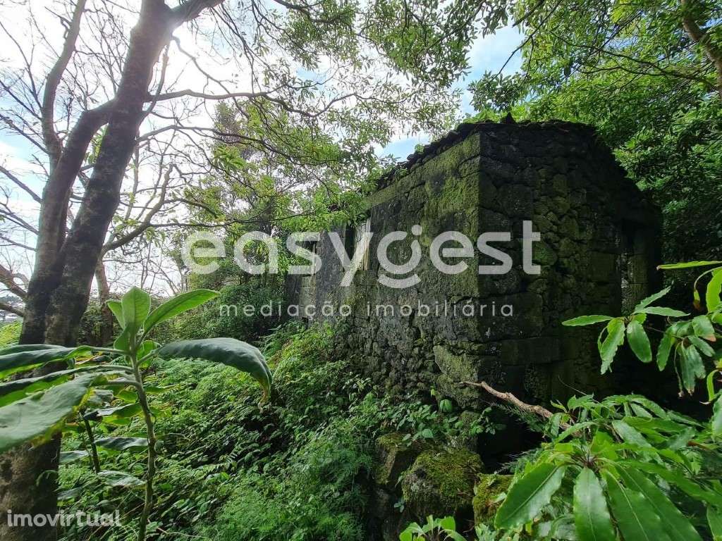 Ruina típica da ilha do Pico para recuperar na freguesia de São João - Grande imagem: 2/21