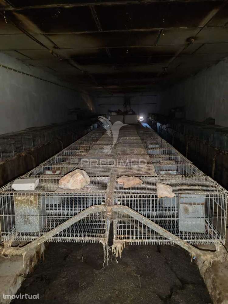 Pavilhão - Grande imagem: 5/21