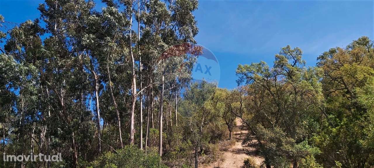 Terreno  para venda - Grande imagem: 2/10