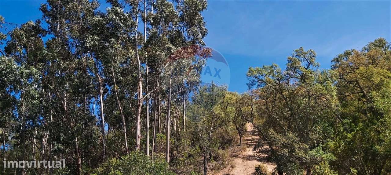Terreno  para venda - Grande imagem: 2/10