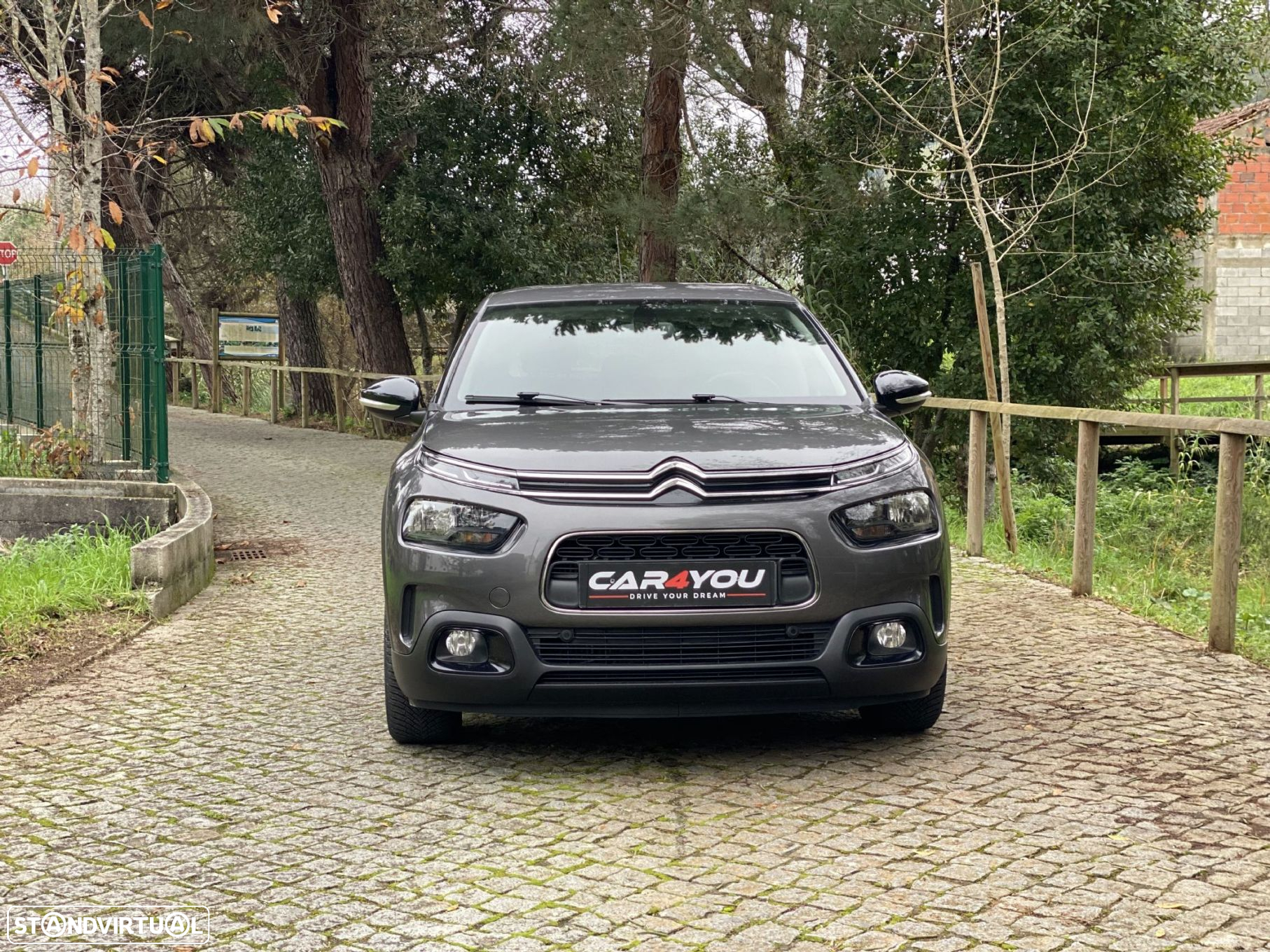 Citroën C4 Cactus 1.2 PureTech Shine - 14