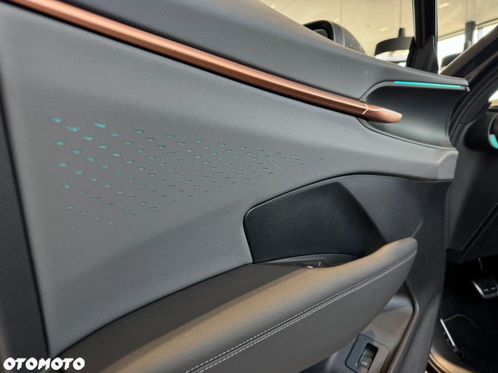 Cupra Terramar - 11