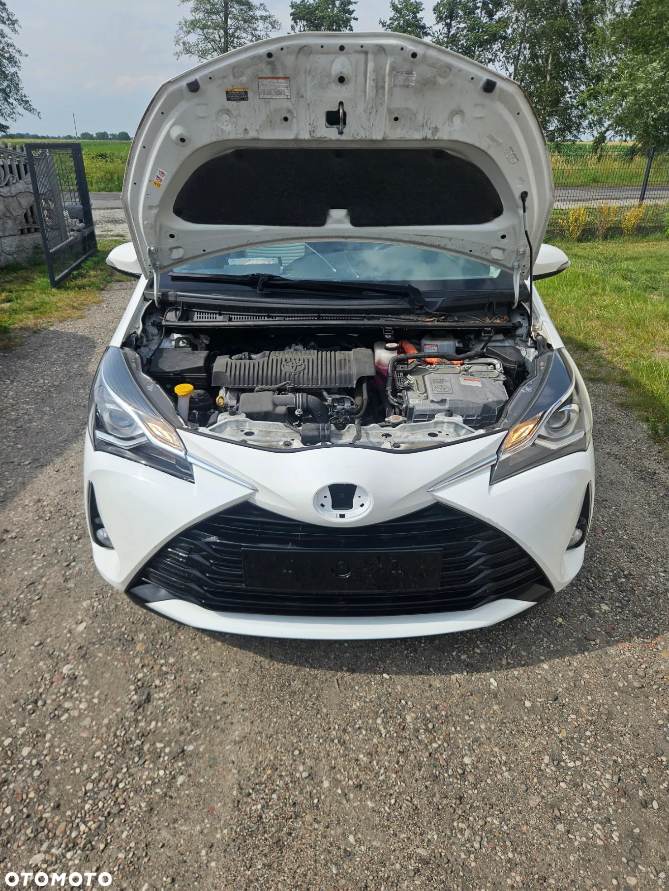 Toyota Yaris Hybrid 100 Active - 5