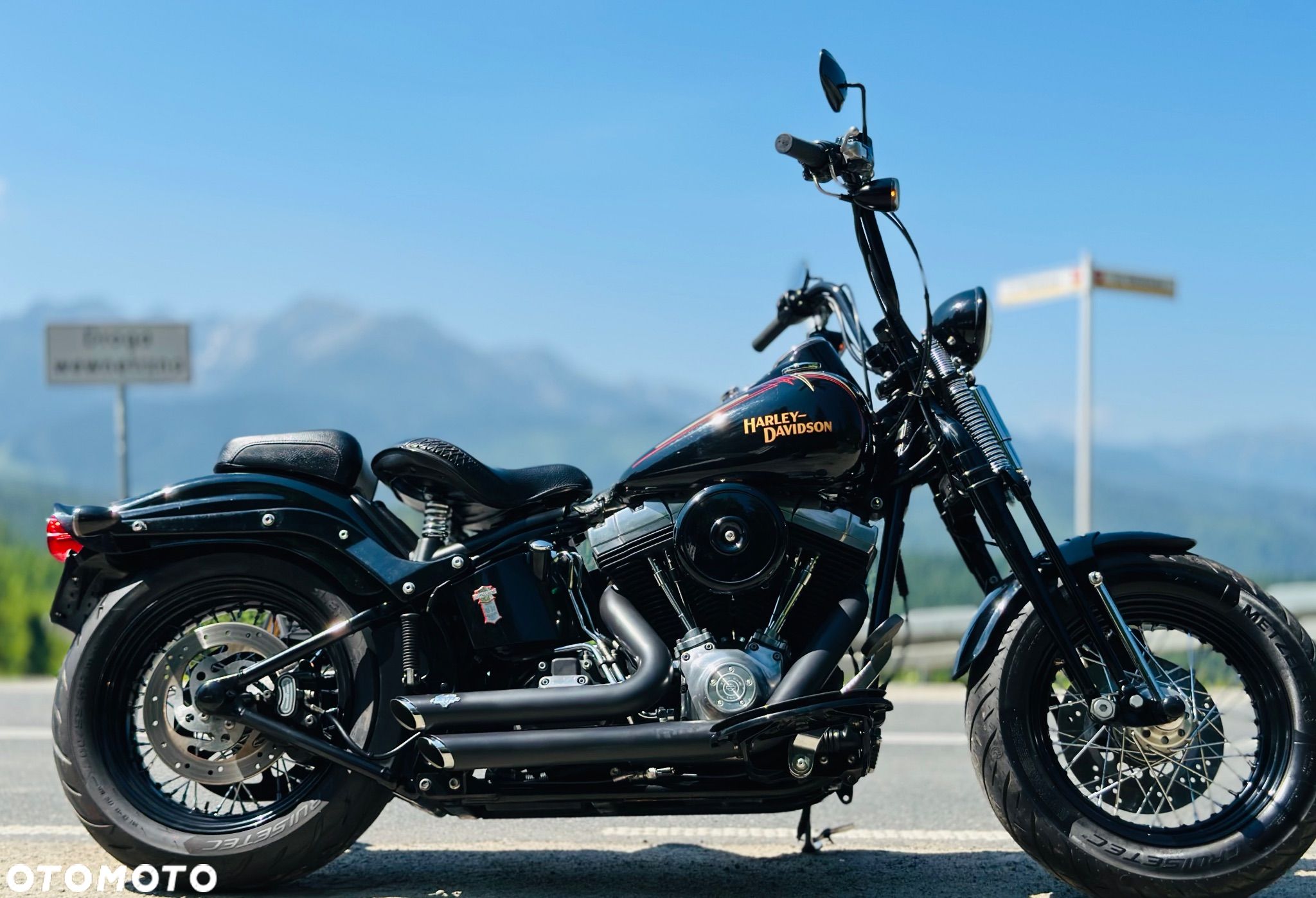 Harley-Davidson Softail Cross Bones - 1
