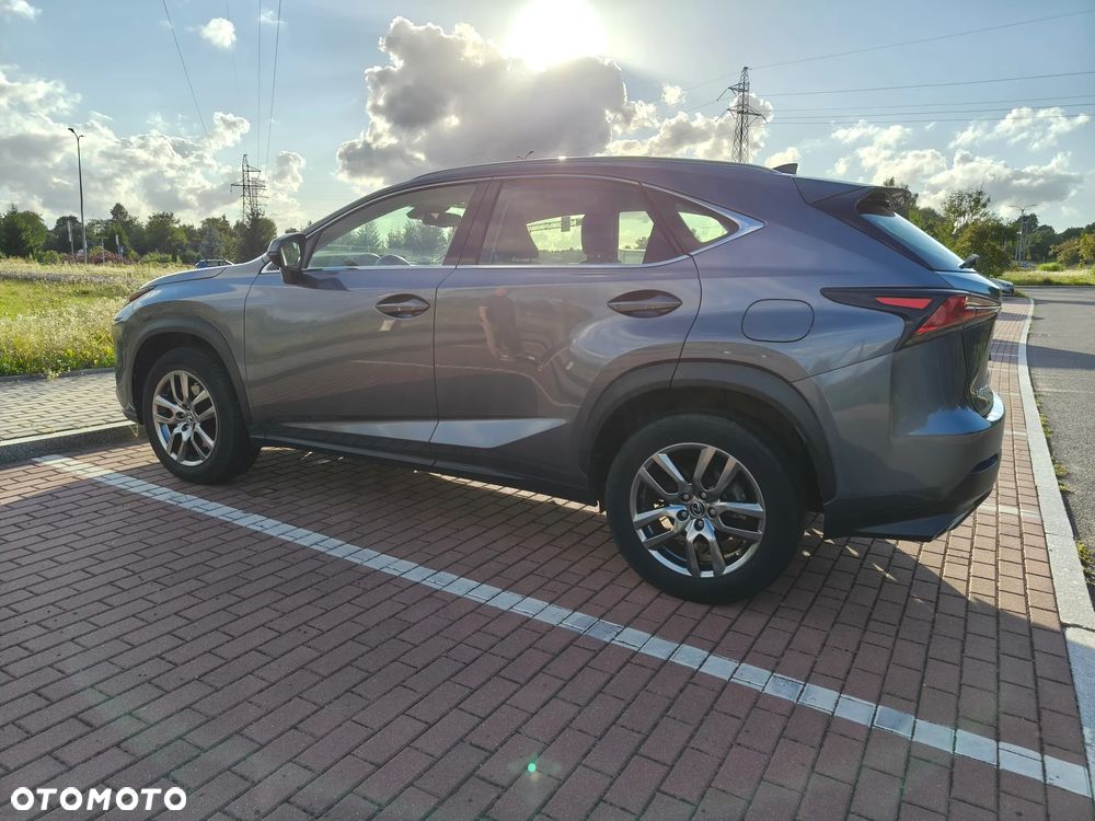 Lexus NX 300 GPF Elegance AWD - 7