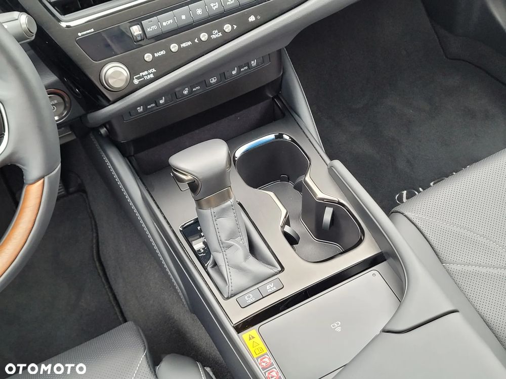 Lexus ES 300h Prestige - 19