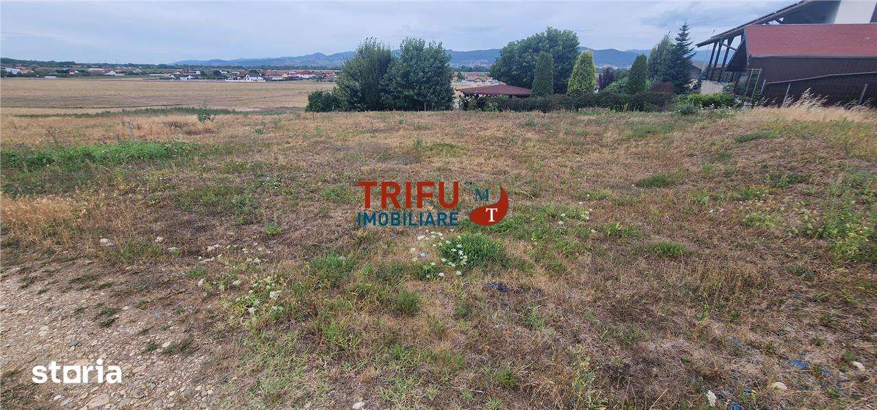 Teren intravilan 669 mp în Șeușa, utilități pe teren si acces facil - Imagine principală: 4/7