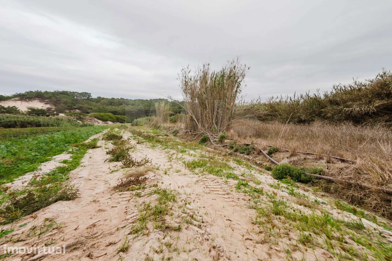 Terreno Rústico com 3.800 m² em Ferrel - Grande imagem: 3/3