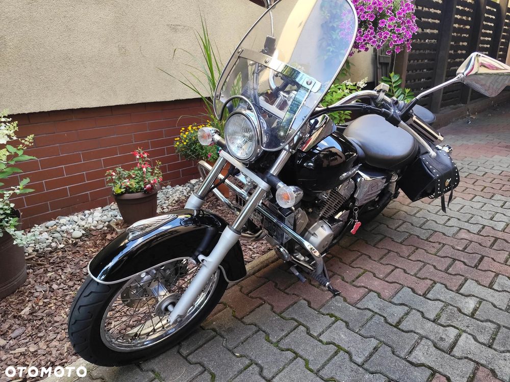 Honda Shadow - 14