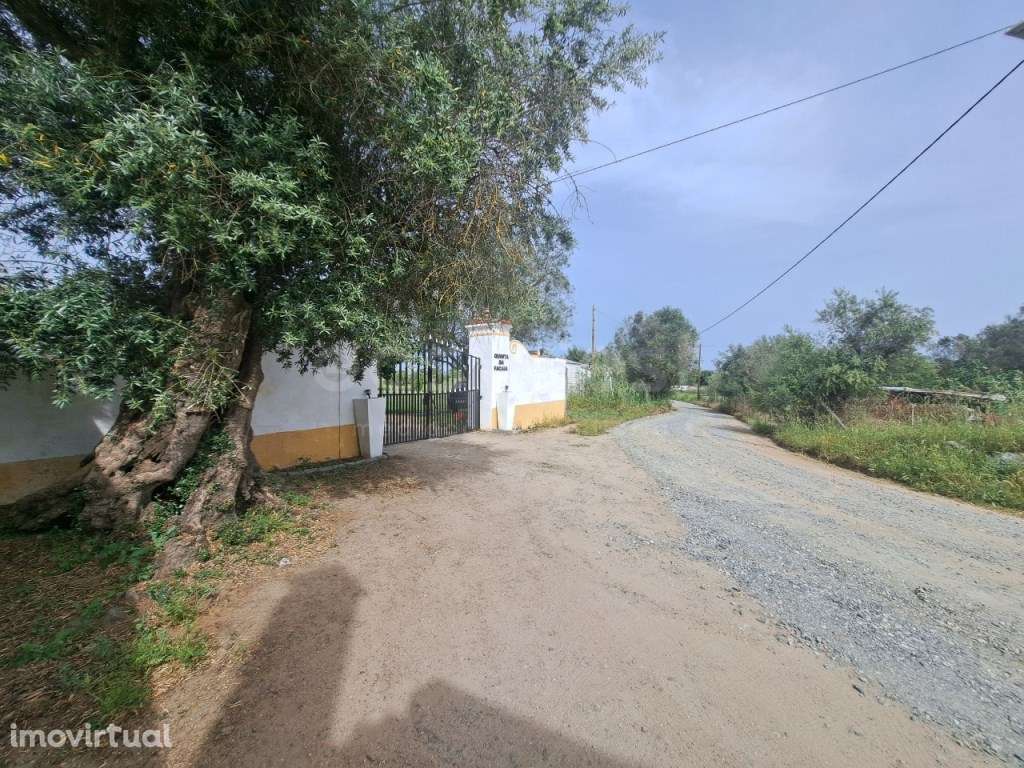 Fabulosa Quinta a 3 minutos da Cidade de Beja com área Privativa de... - Grande imagem: 3/52