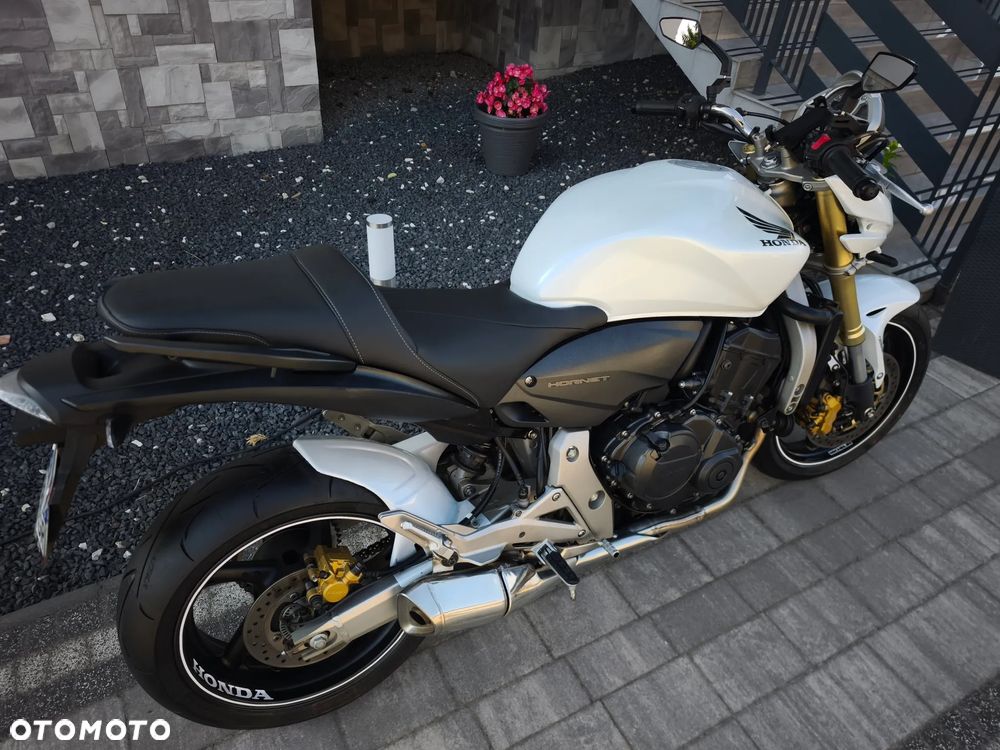 Honda Hornet - 13