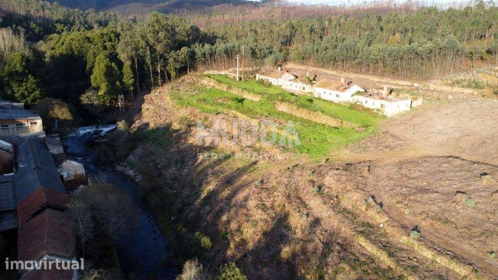 Quinta com 2 hectares para recuperar junto ao Rio Caima - Grande imagem: 4/12