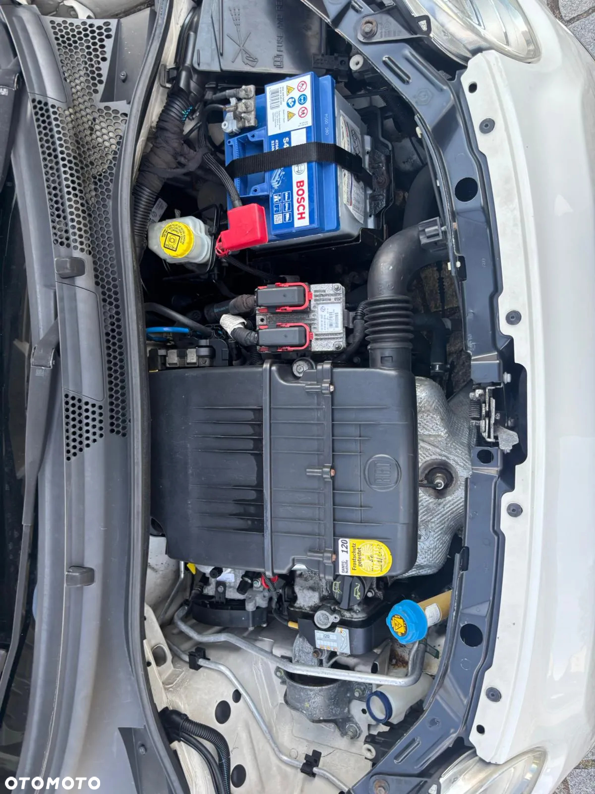Fiat 500 C 1.2 8V Collezione - 18