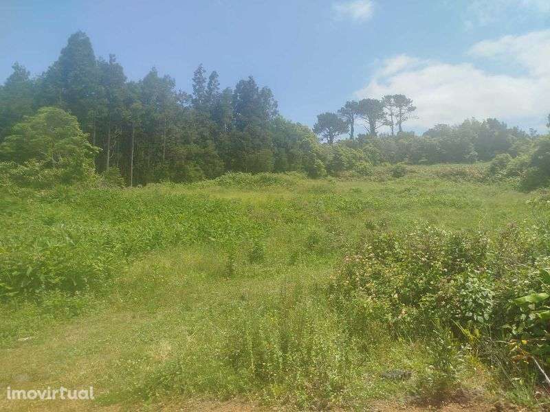 Terreno Pinheira - Rua da Bragada - Santo António - Grande imagem: 2/12