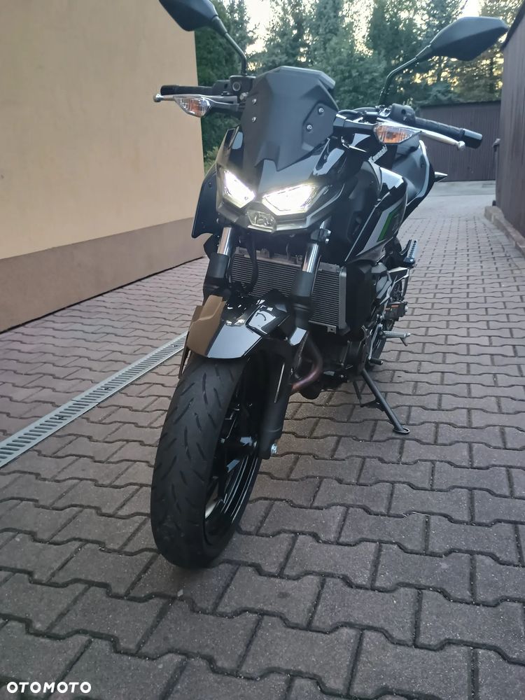 Kawasaki Z - 6