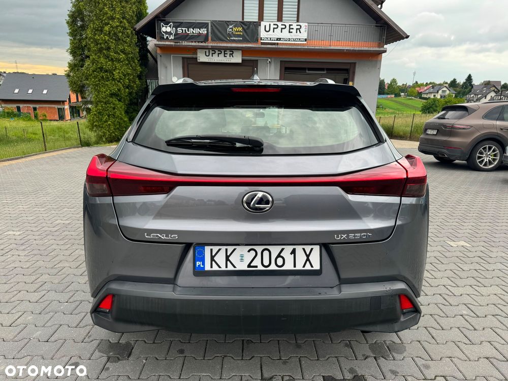 Lexus UX 250h GPF Business Edition AWD - 7