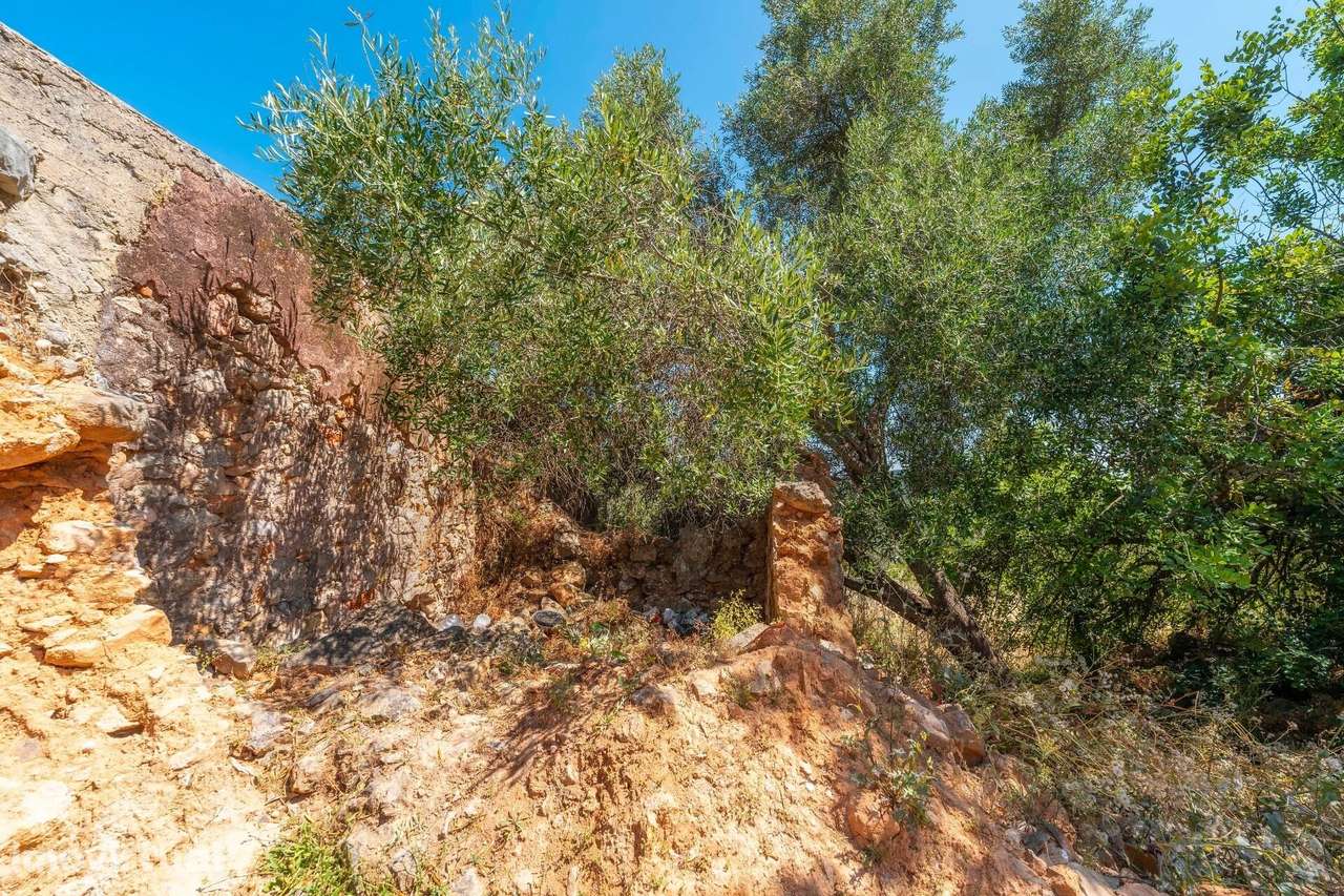 Ruína com Terreno de 2.100m2, Vista Mar e Potencial de Reabilitação – - Grande imagem: 3/30