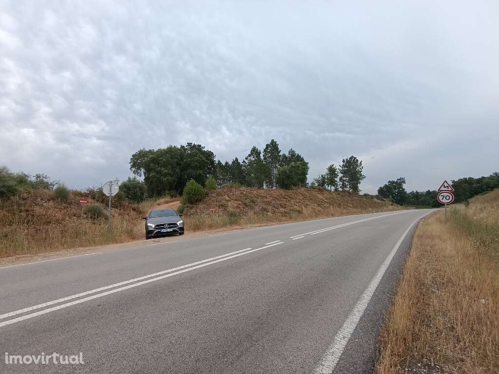 Quinta / Herdade em zona de Mouriscas, Santarém - Grande imagem: 4/20