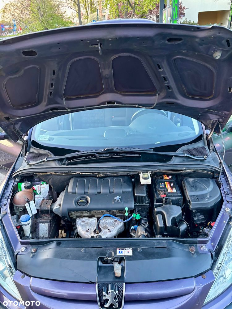 Peugeot 307 1.4 XS - 10