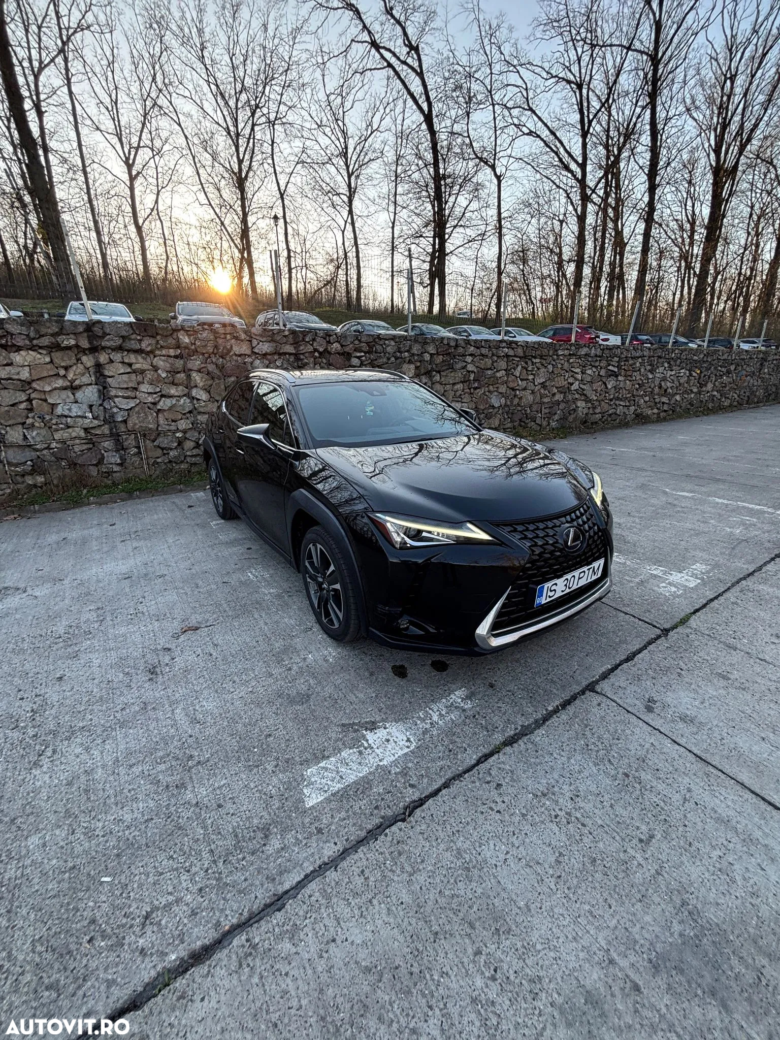 Lexus UX 250h - 2