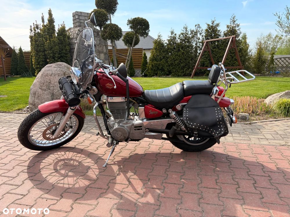 Suzuki Savage - 1