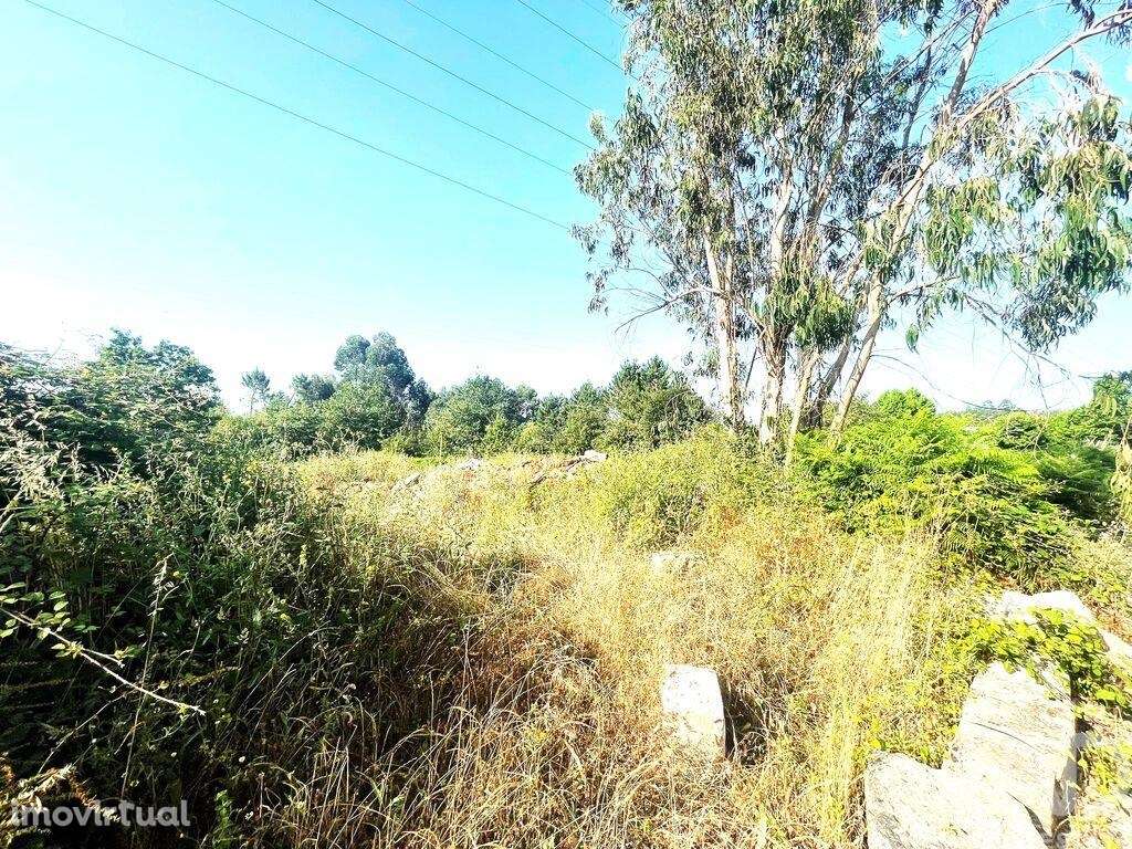 Terreno para construção em Mujães de 346,00 m2 - Grande imagem: 5/6