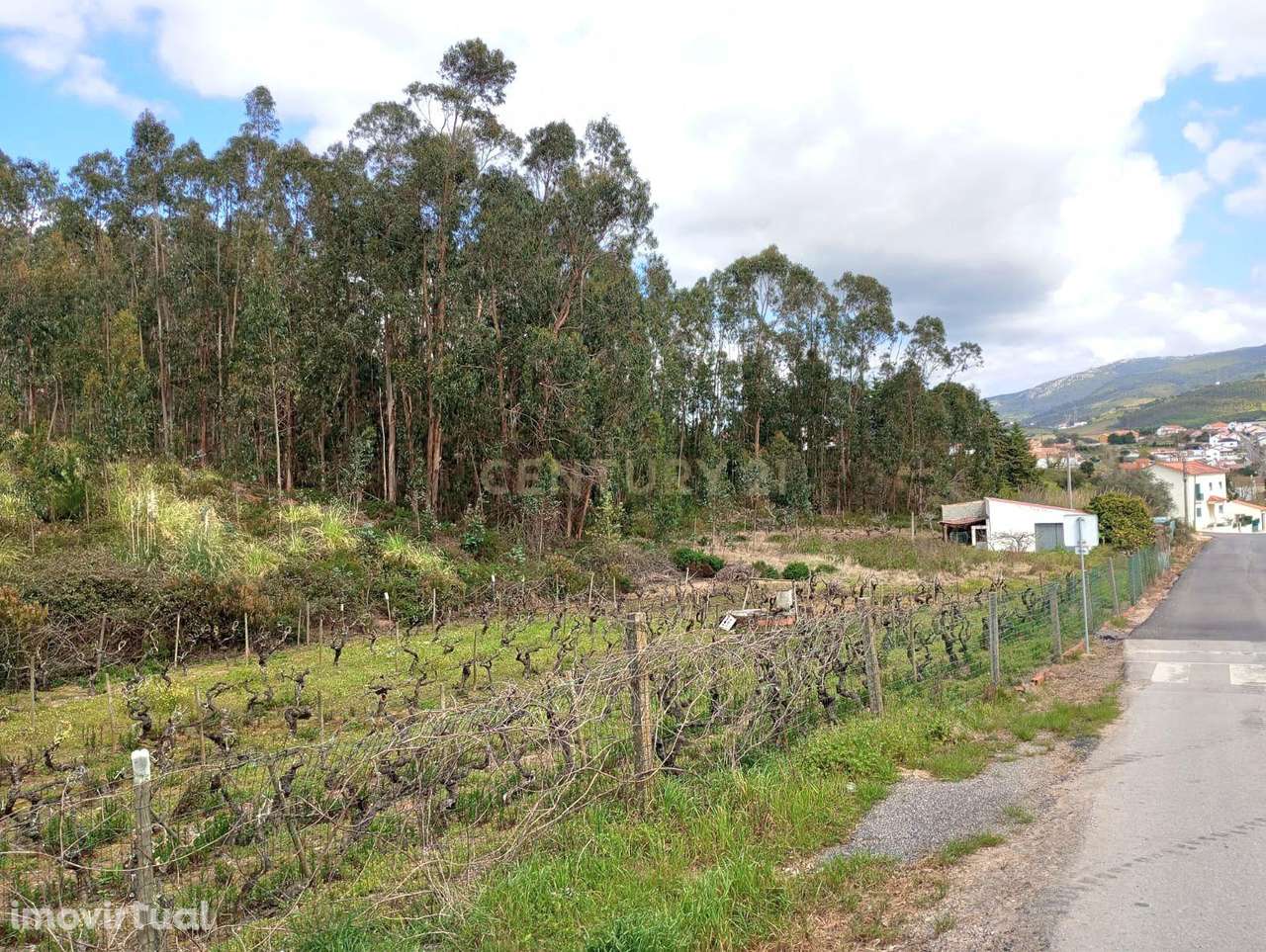 Terreno Rústico à Venda – 1800 m² em Vale Moreira, Vilar - Grande imagem: 3/17