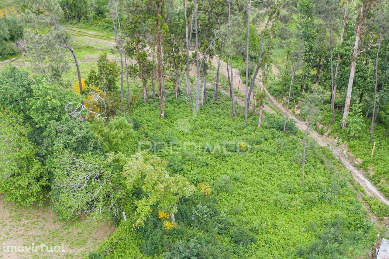 Terreno em Gême, Vila Verde - Braga - Grande imagem: 3/9