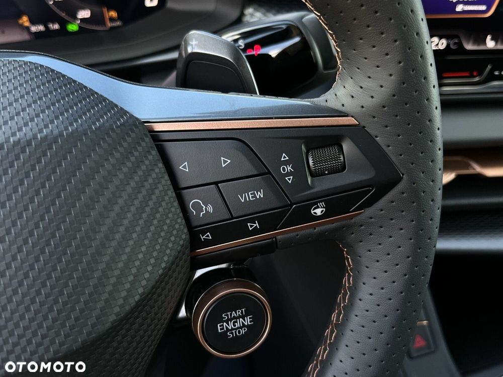 Cupra Terramar - 30