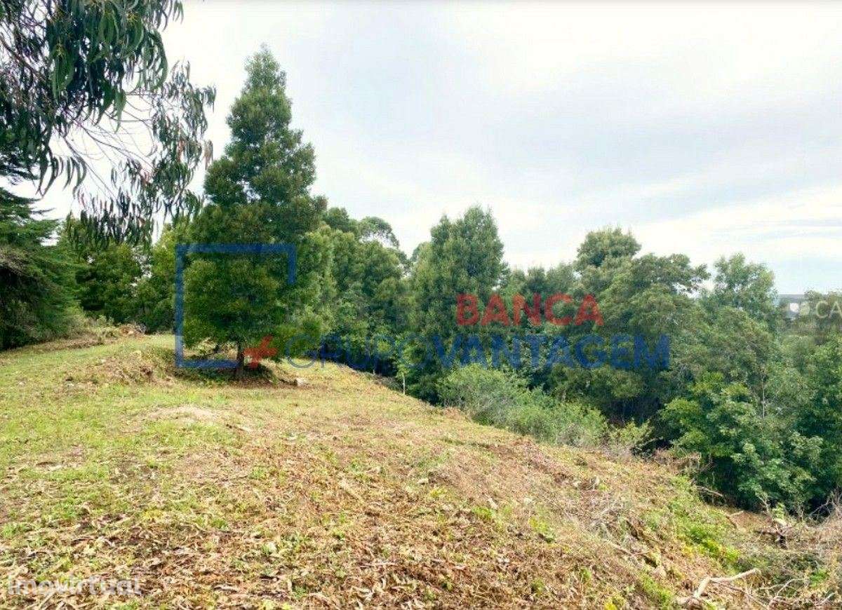 Terreno para construção - SINTRA - Grande imagem: 4/14