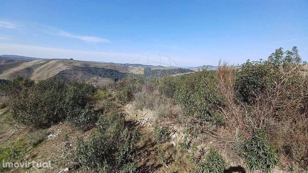 Terreno  para venda - Grande imagem: 4/9